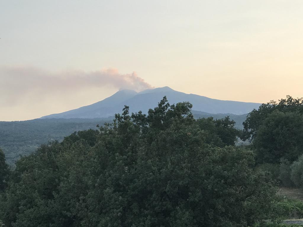 Casa Vacanze Etna ปิเอดิมอนเต เอตเนโอ ภายนอก รูปภาพ